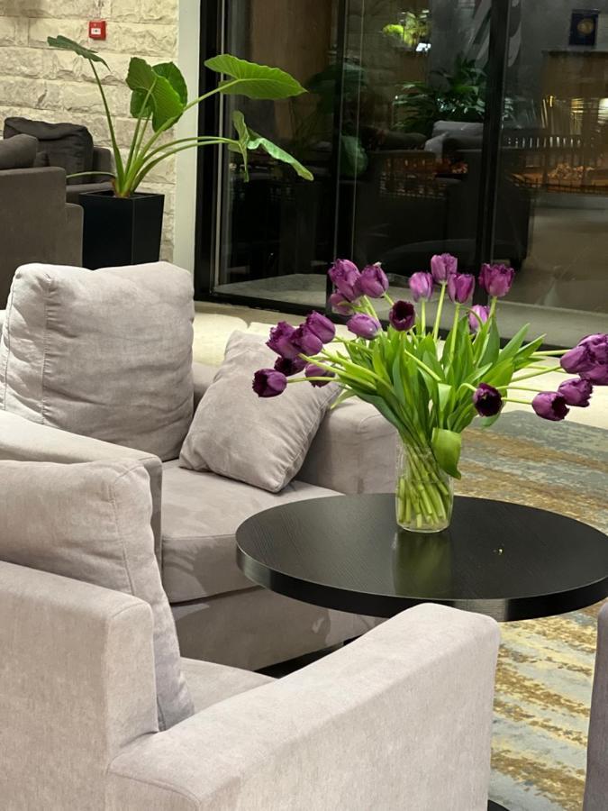Abaash Hotel Afon New Athos Екстериор снимка